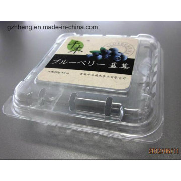 Clear Plastic PET Packing Box for Fruit/Vegetable(Plastic Tray)